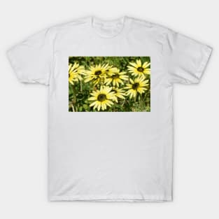 Yellow Daisy Flowers T-Shirt